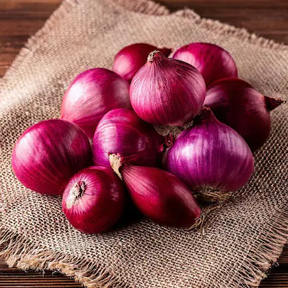 onion