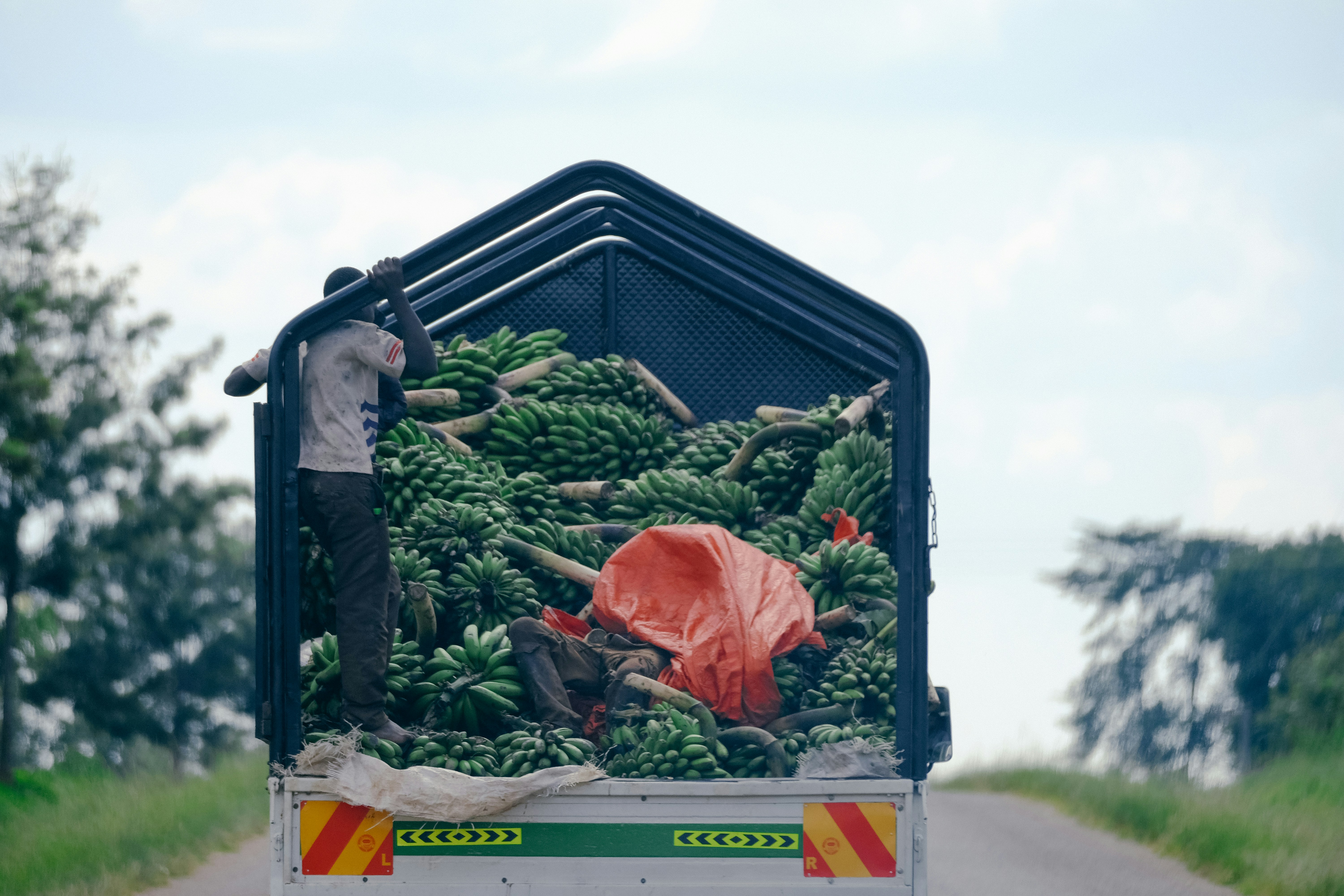 Fresh Vegetables